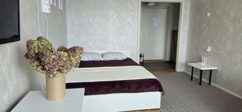 г Воронеж, ул Моисеева, д 55