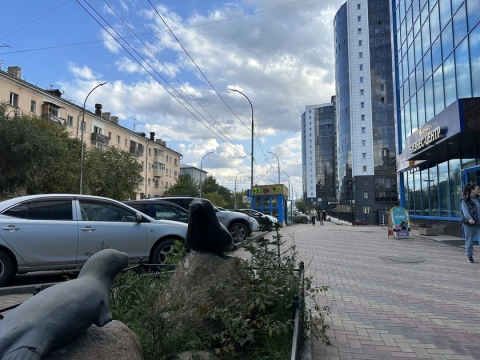 г Улан-Удэ, ул Смолина, д 63, кв 218