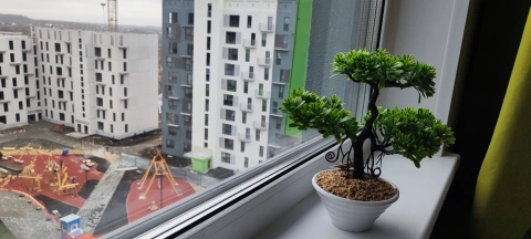г Челябинск, ул Блюхера, д 123Е